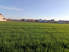 My Actifit Report Card: April 7 2026