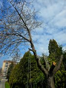 Sobota robocza : April 11 2026