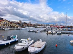 My Actifit Report Card: April 4 2026