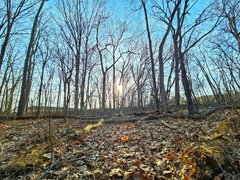 My Actifit Report Card: March 21 2026