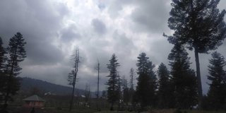 My Actifit Report Card: January 29 2024