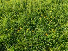 My Actifit Report Card: March 18 2026