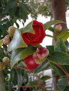 My Actifit Report Card: March 22 2026