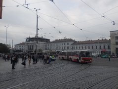 My Actifit Report Card: September 13 2025