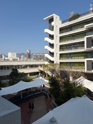 My Actifit Report Card: March 12 2026