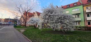 More Than Steps – A Real-Life Active Day/Więcej niż kroki – prawdziwie aktywny dzień 💛/My Actifit Report Card: March 31 2026