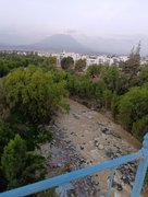 My Actifit Report Card: April 4 2026