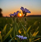 My Actifit Report Card: June 27 2024