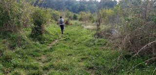 My Actifit Report Card: October 19 2025