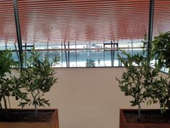 My Actifit Report Card: March 1 2026