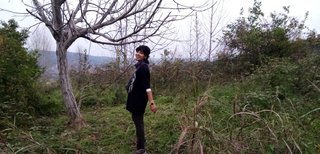 My Actifit Report Card: December 11 2025