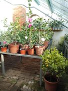 My Actifit Report Card: February 20 2026