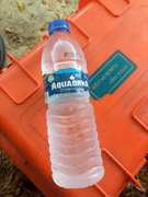 My Actifit Report Card: March 27 2025