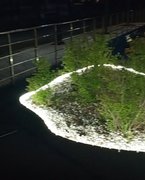 My Actifit Report Card: April 14 2026