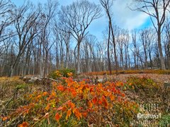 My Actifit Report Card: November 28 2025