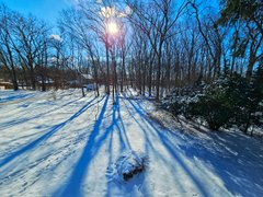 My Actifit Report Card: January 22 2026