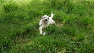 My Actifit Report Card: April 28 2025