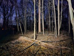 My Actifit Report Card: March 24 2026