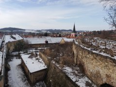 My Actifit Report Card: February 20 2026