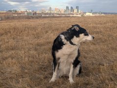 Winter PDG's! My Actifit Report Card: January 22 2026