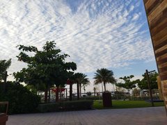 Work, Plans And Book Progression Actifit Report Card: April 7 2024