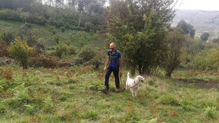 My Actifit Report Card: October 19 2025