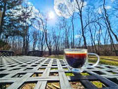 Caturday in My Actifit Report Card: March 20 2026