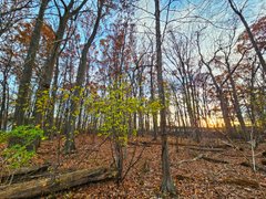 My Actifit Report Card: November 22 2025