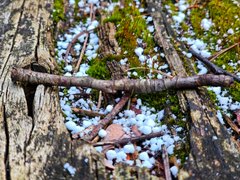 My Actifit Report Card: March 16 2026