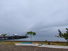 My Actifit Report Card: March 25 2026