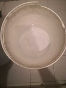 My Actifit Report Card: November 8 2024