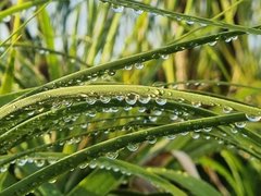 My Actifit Report Card: October 16 2024