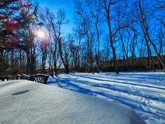 Now that's cold! My Actifit Report Card: January 23 2026