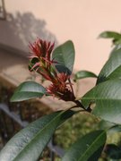 My Actifit Report Card: February 25 2026