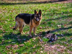 My Actifit Report Card: April 11 2026