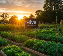 Monday Here we Come! My Actifit Report Card: August 18 2025