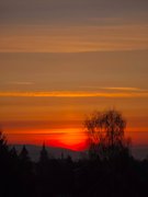 🇵🇱 Spokojny spacer zamiast biegania /
🇬🇧 Easy Walk Instead of Running: March 24 2026