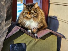 Kensington Metropark - My Actifit Report Card: February 8 2026