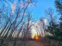 My Actifit Report Card: April 6 2026