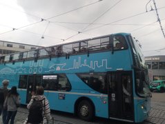 My Actifit Report Card: September 13 2025