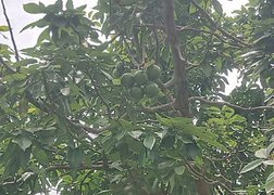 My Actifit Report Card: April 10 2026