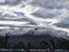 A little bit of sunshine. My Actifit Report Card: March 12 2026