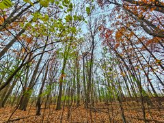 My Actifit Report Card: November 15 2025