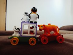 My Actifit Report Card: April 6 2026