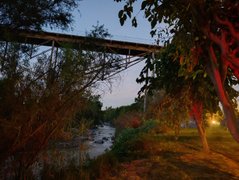 My Actifit Report Card: April 4 2026