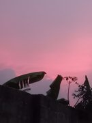 My Actifit Report Card: March 21 2026