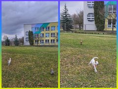 [EN/CZ] My Actifit Report Card: March 21 2026