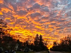 My Actifit Report Card: November 23 2025