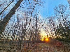 My Actifit Report Card: April 8 2026