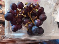 laser run training: March 17 2026